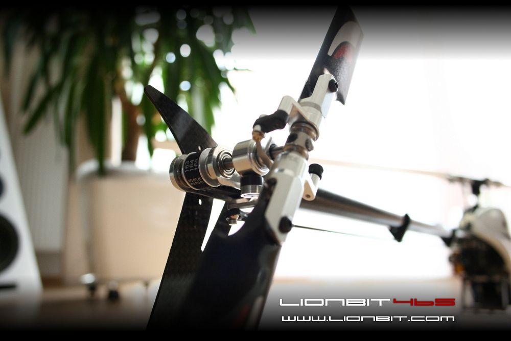 LionBit465: Heckrotor