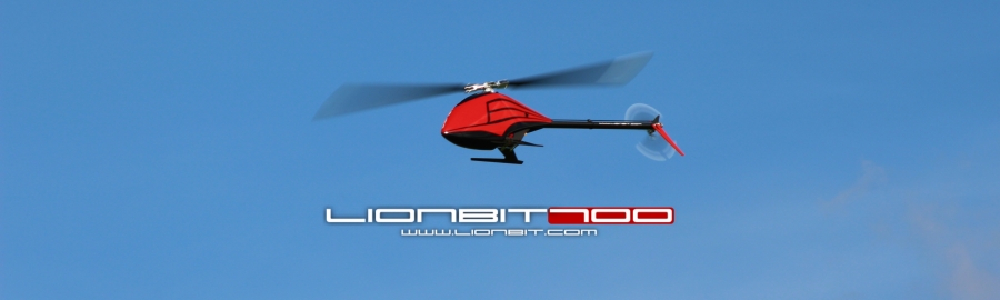 LionBit700 in der Luft
